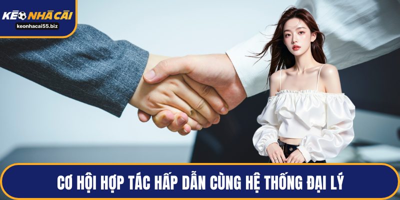 Cơ hội hợp tác hấp dẫn cùng hệ thống đại lý