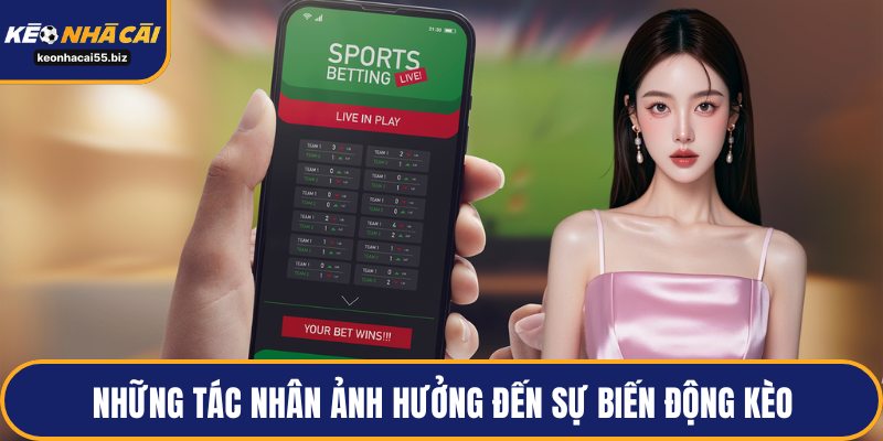 Những tác nhân ảnh hưởng đến sự biến động kèo