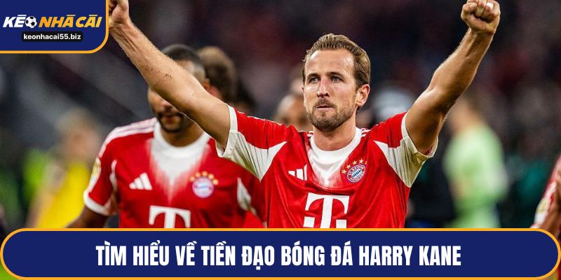 Tìm hiểu về tiền đạo bóng đá Harry Kane 