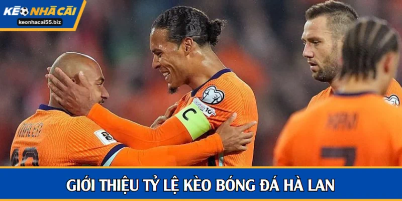 Giới thiệu tỷ lệ kèo bóng đá Hà Lan
