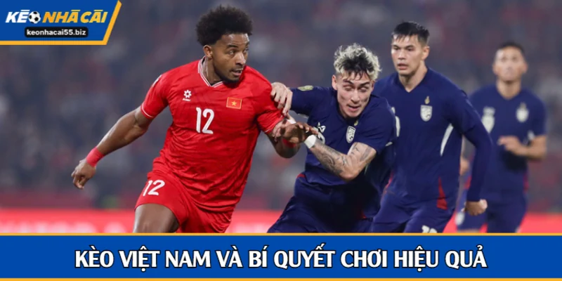Kèo Việt Nam và bí kíp thắng từ chuyên gia