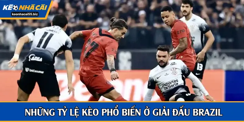 Những tỷ lệ kèo phổ biến ở giải đấu Brazil