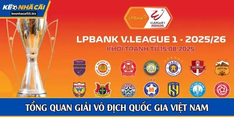 Tổng quan về kết quả bóng đá Việt Nam 25/26 hiện tại