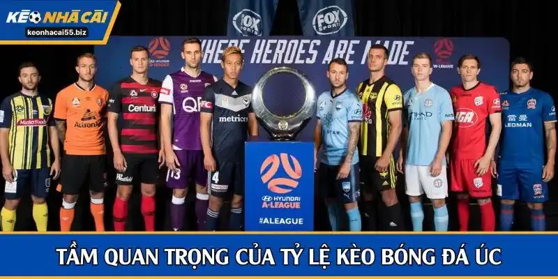 Tỷ lệ kèo bóng đá Úc là cơ sở quan trọng cho bet thủ