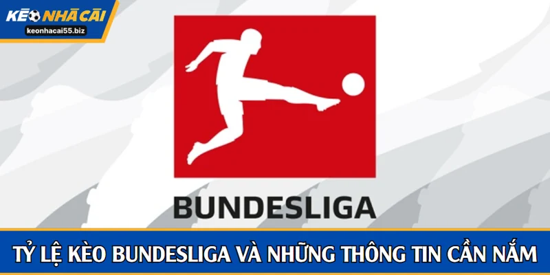 Tỷ lệ kèo Bundesliga